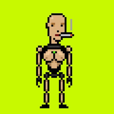 Digital Punks #485