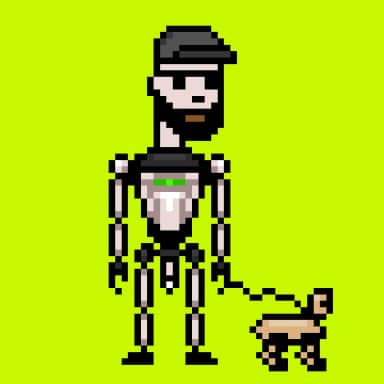 Digital Punks #502