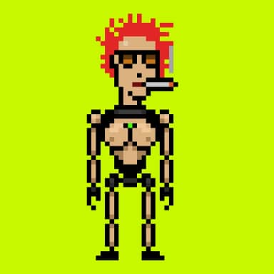 Digital Punks #509