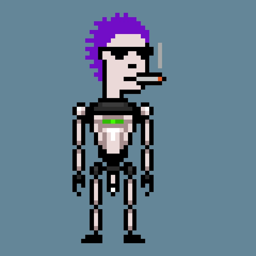 Digital Punks #527