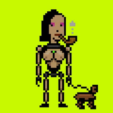 Digital Punks #529
