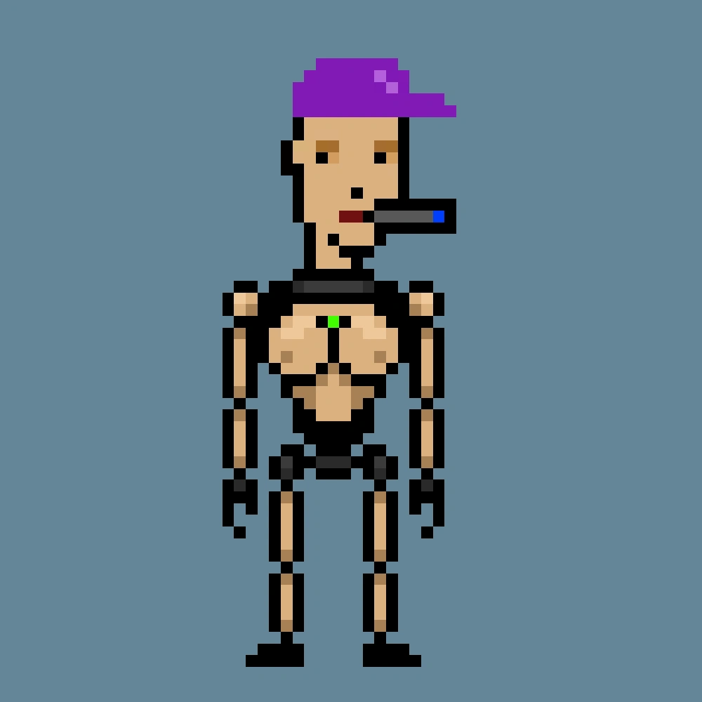Digital Punks #710