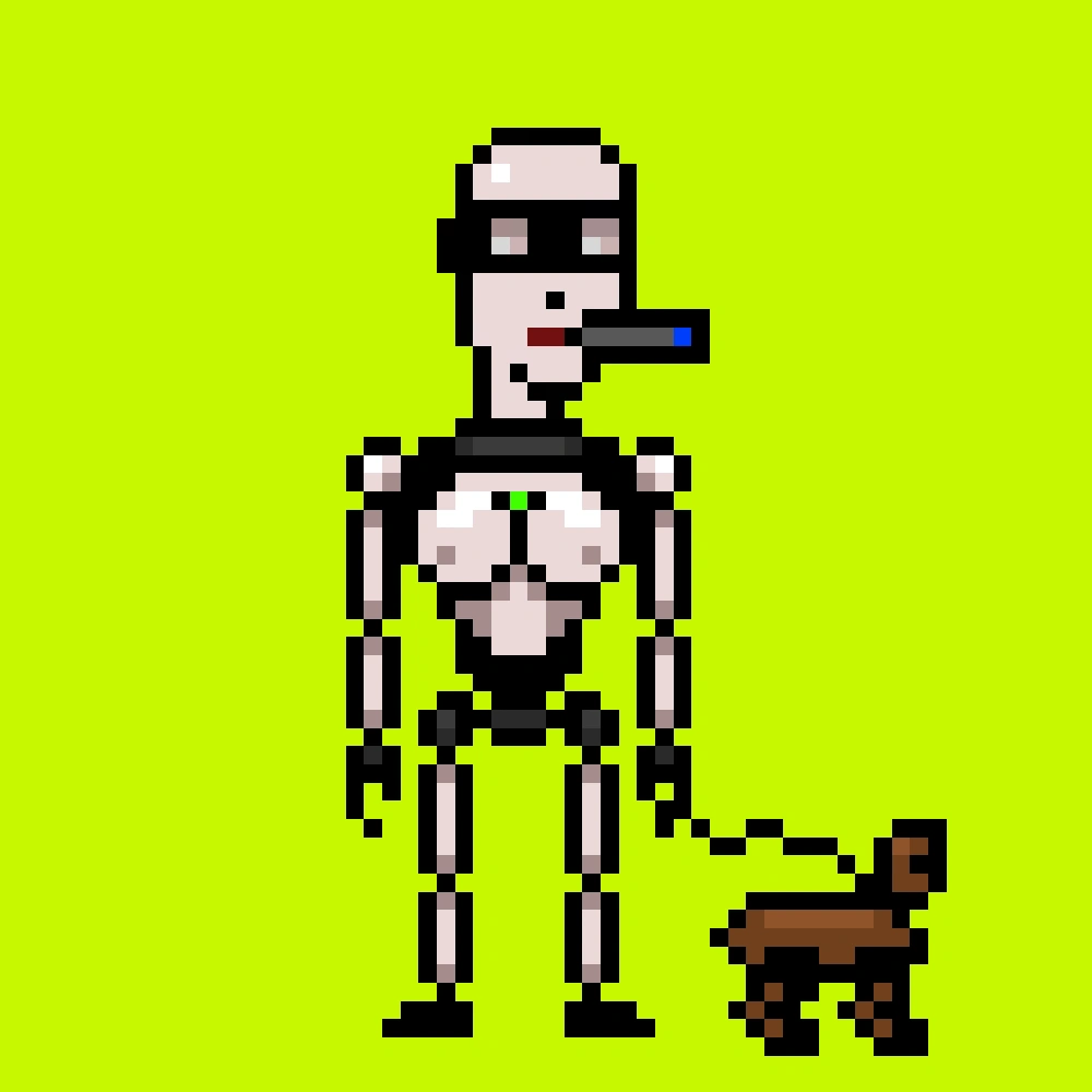 Digital Punks #807