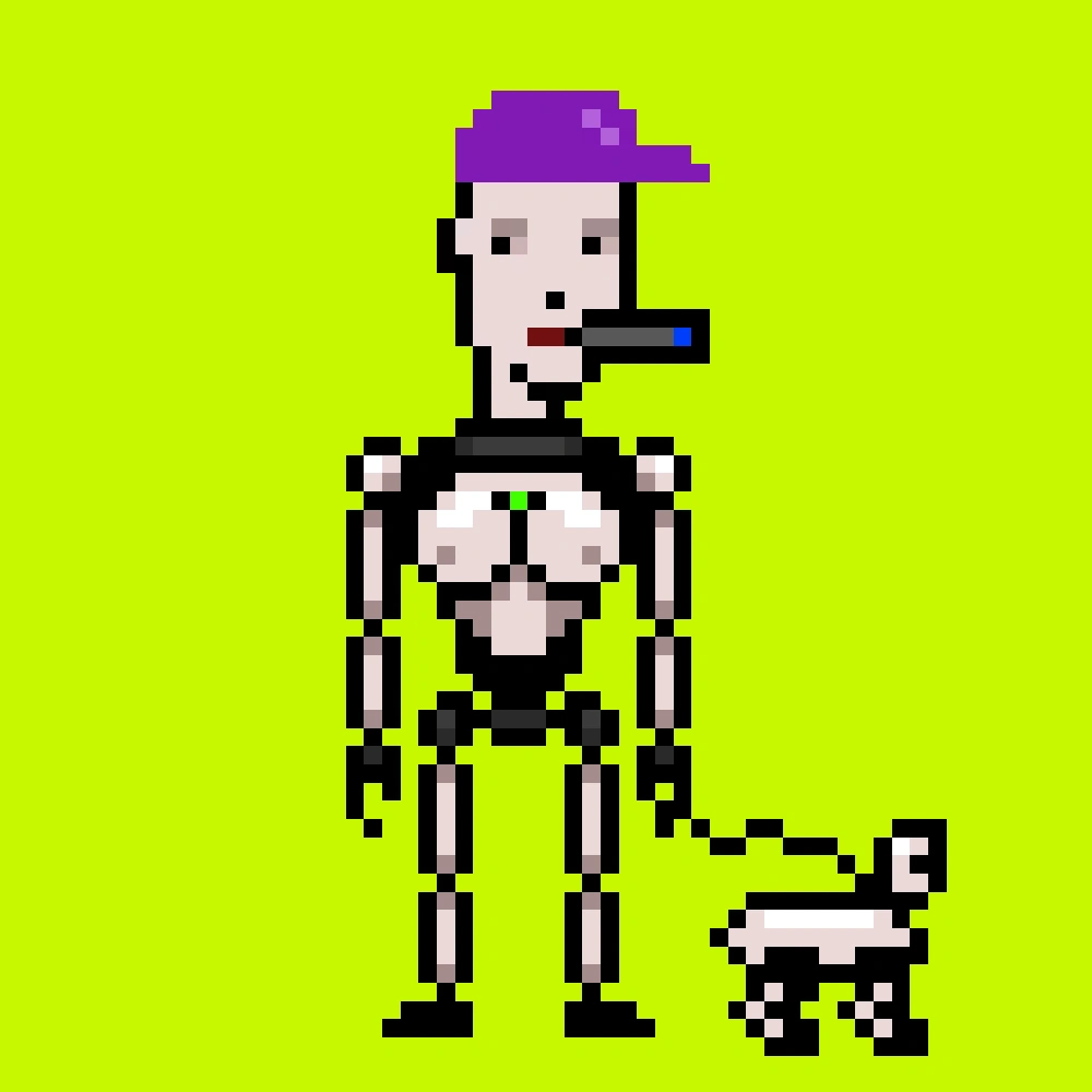 Digital Punks #848
