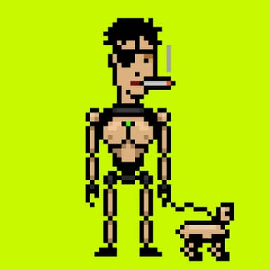 Digital Punks #894
