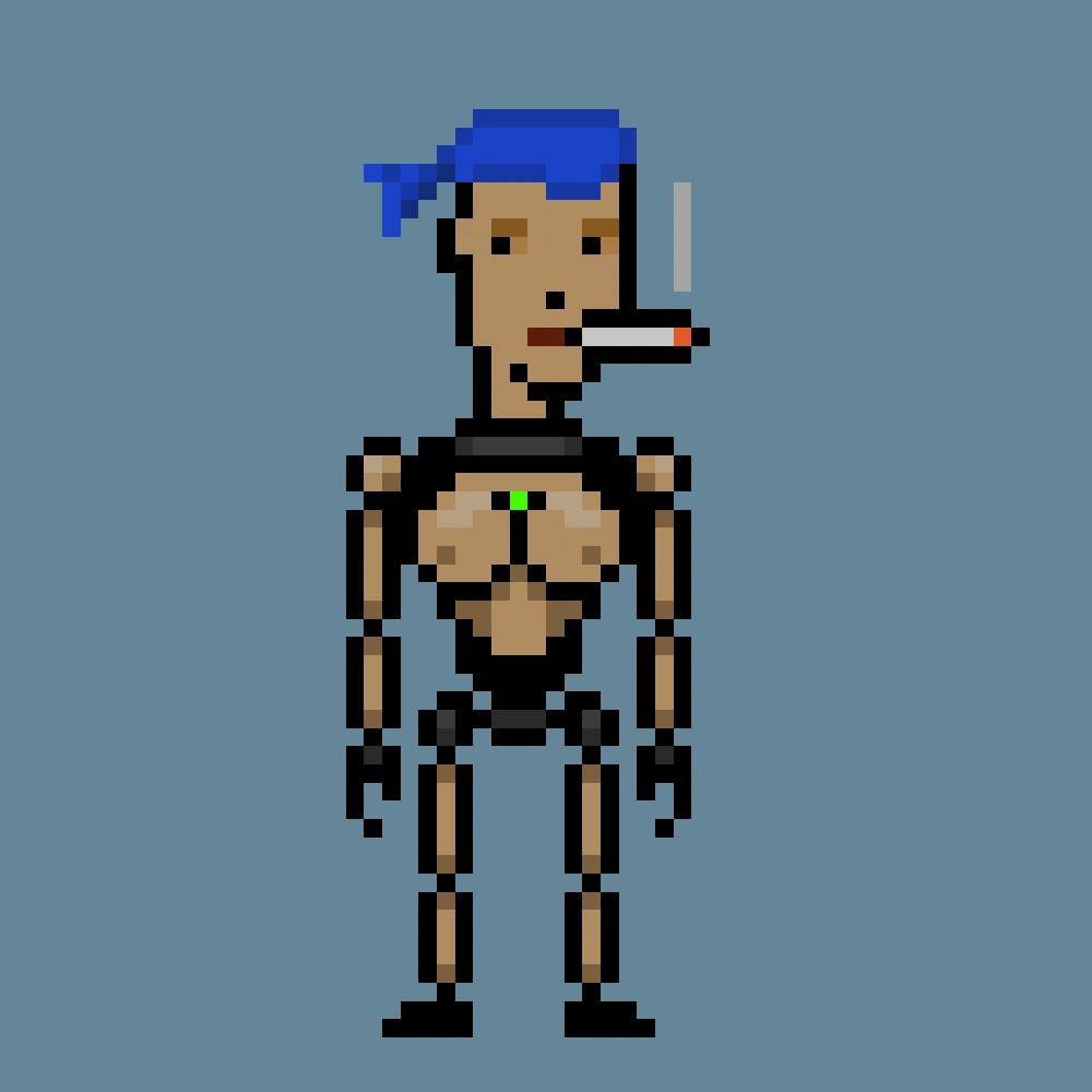 Digital Punks #971