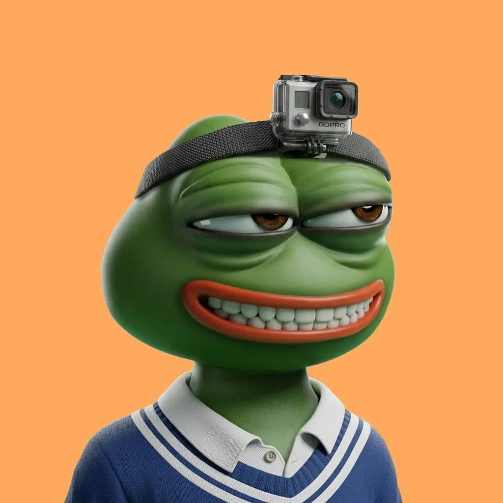 Hood $PEPE #1079