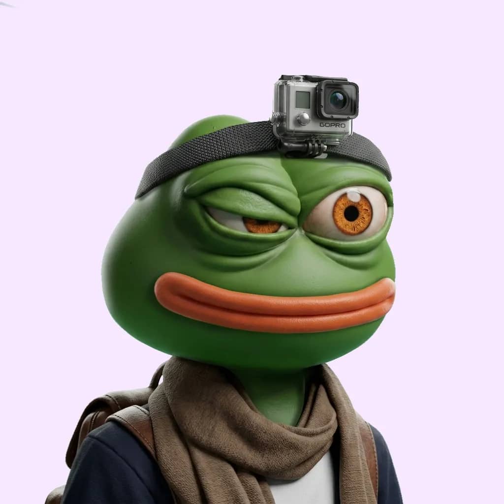 Hood $PEPE #1348