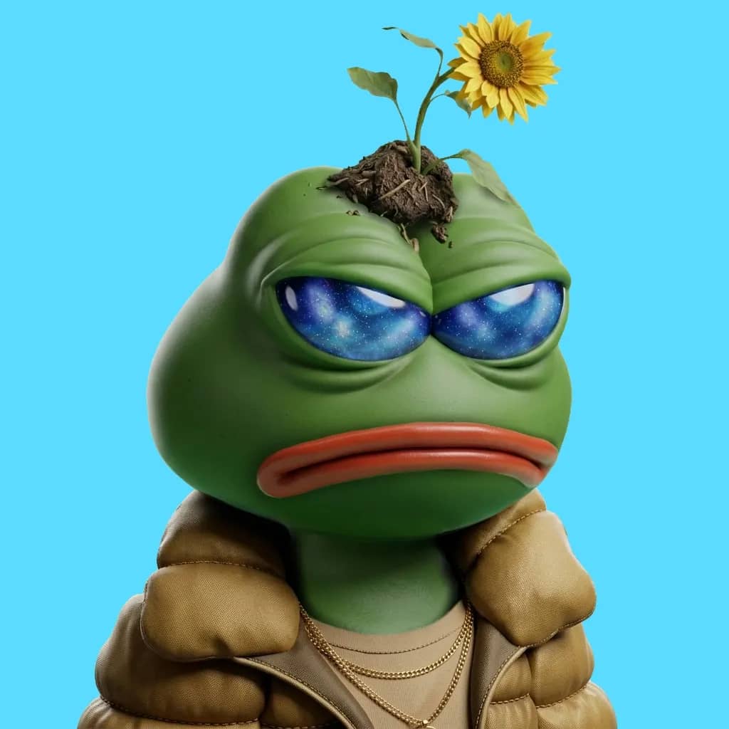 Hood $PEPE #1604