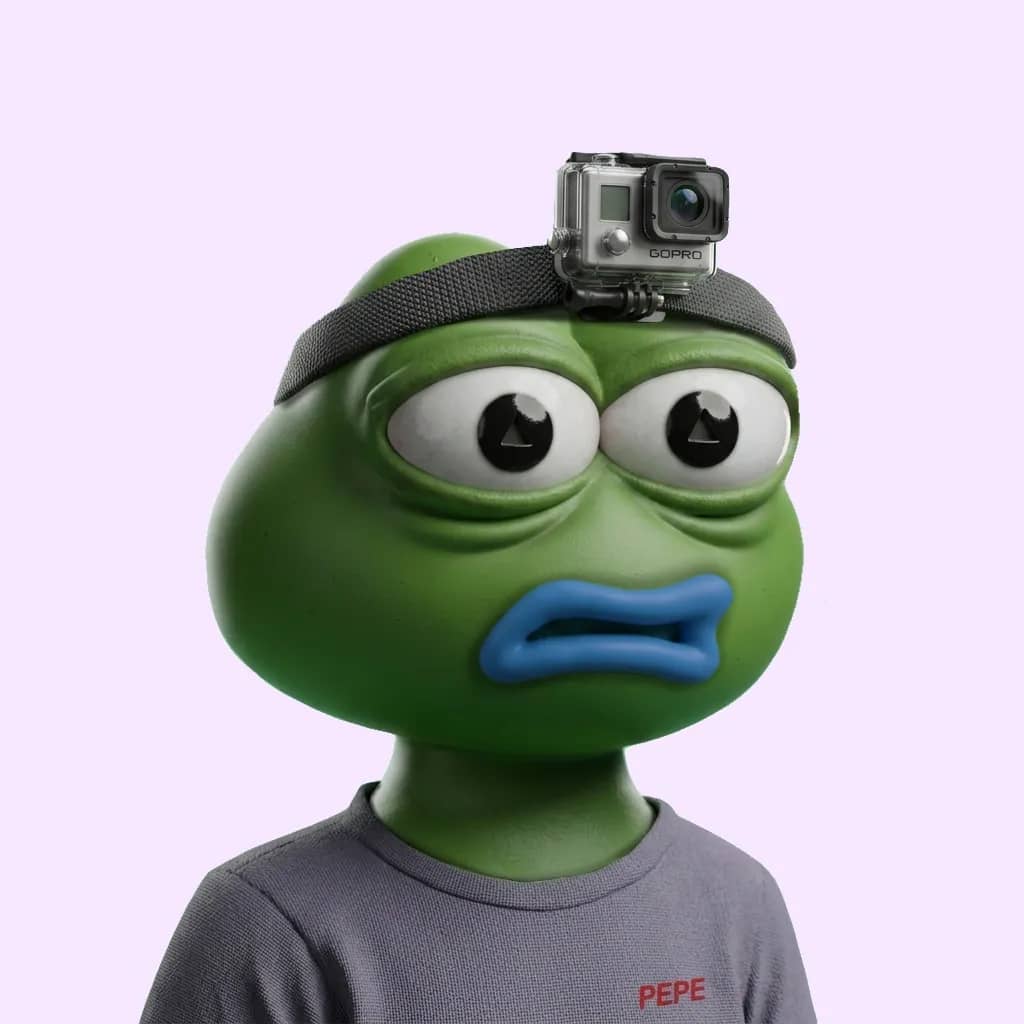 Hood $PEPE #1848