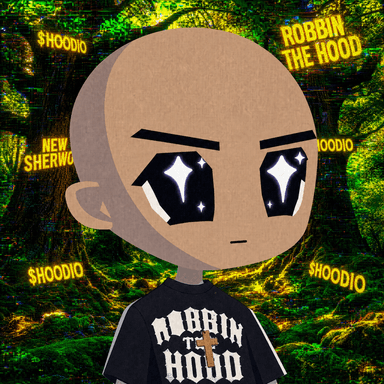 HOODIO #4362