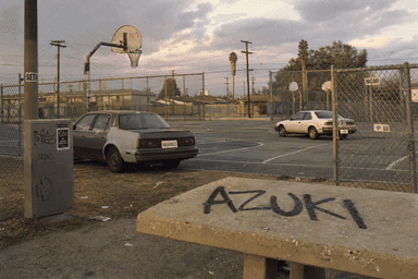 The Hood #1095