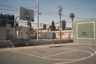 The Hood #0703