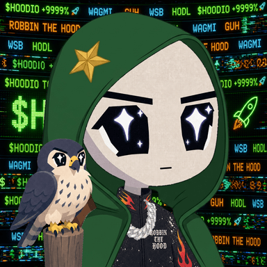 HOODIO #5069