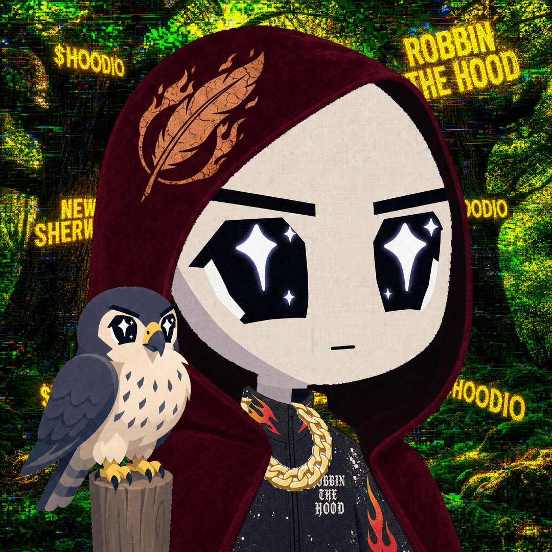 HOODIO #5257