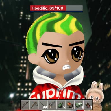 Hoodilio #1210