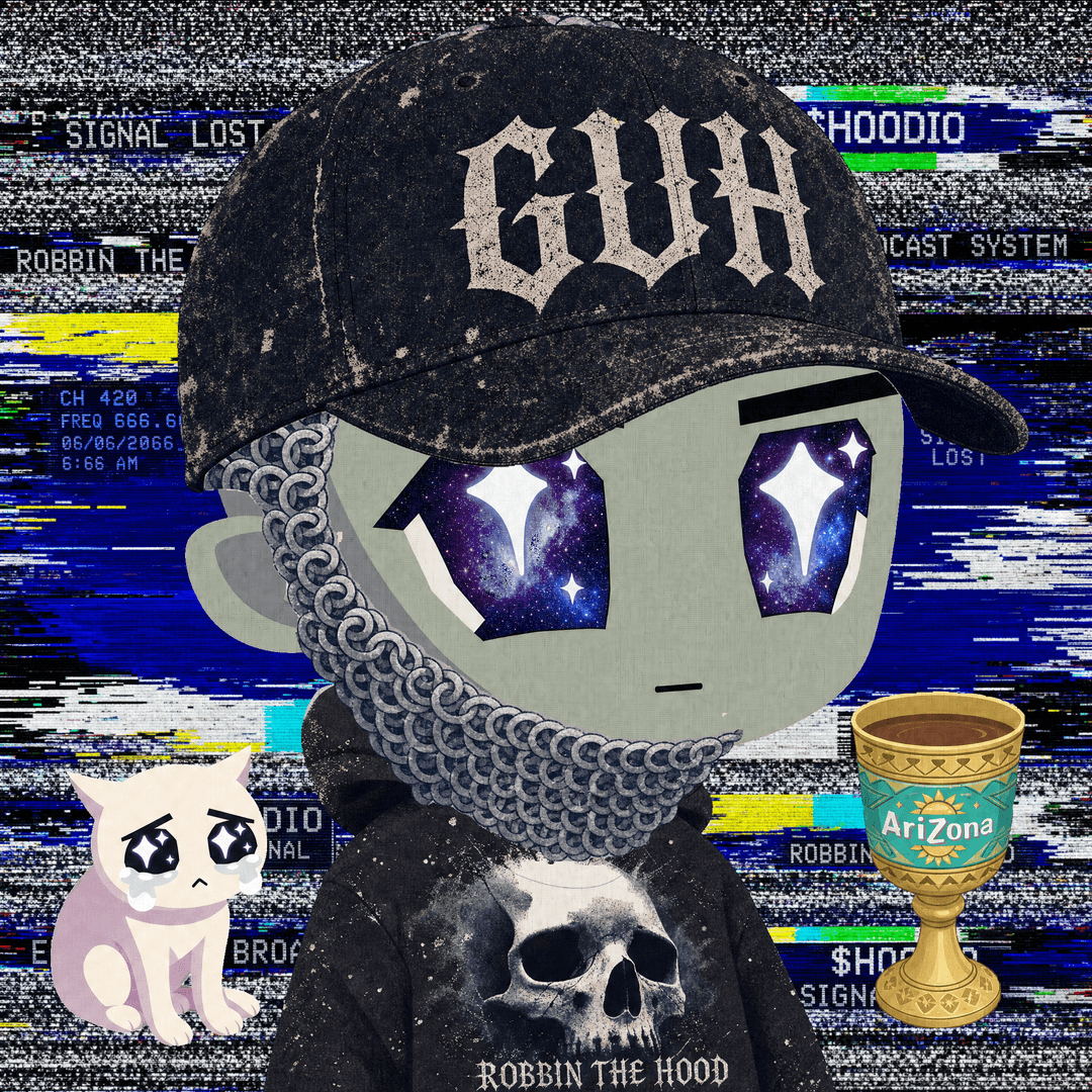 HOODIO #560