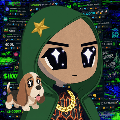 HOODIO #597