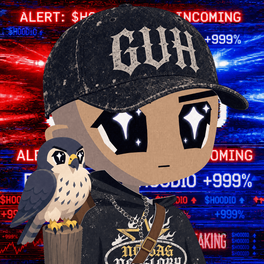 HOODIO #611