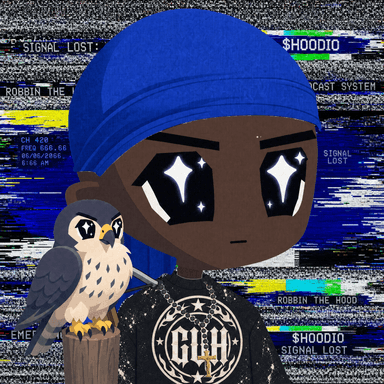 HOODIO #857