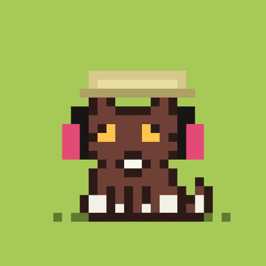 Robinhood Kitty #1164