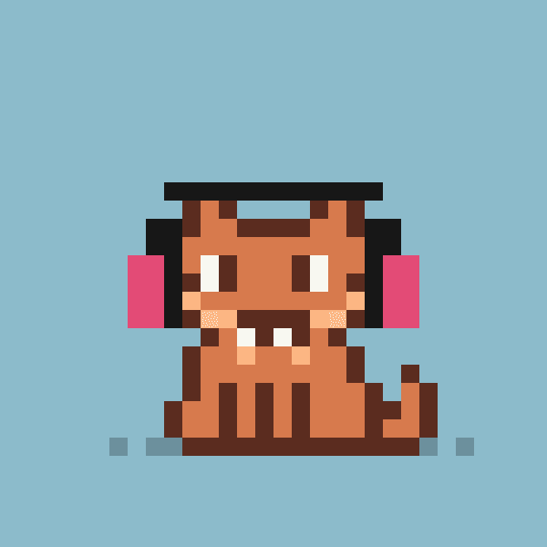 Robinhood Kitty #1312