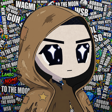 HOODIO #13