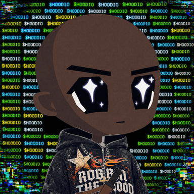 HOODIO #165