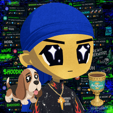 HOODIO #219