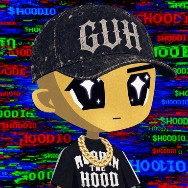 HOODIO #248