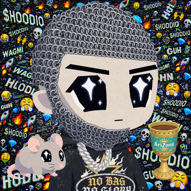 HOODIO #256