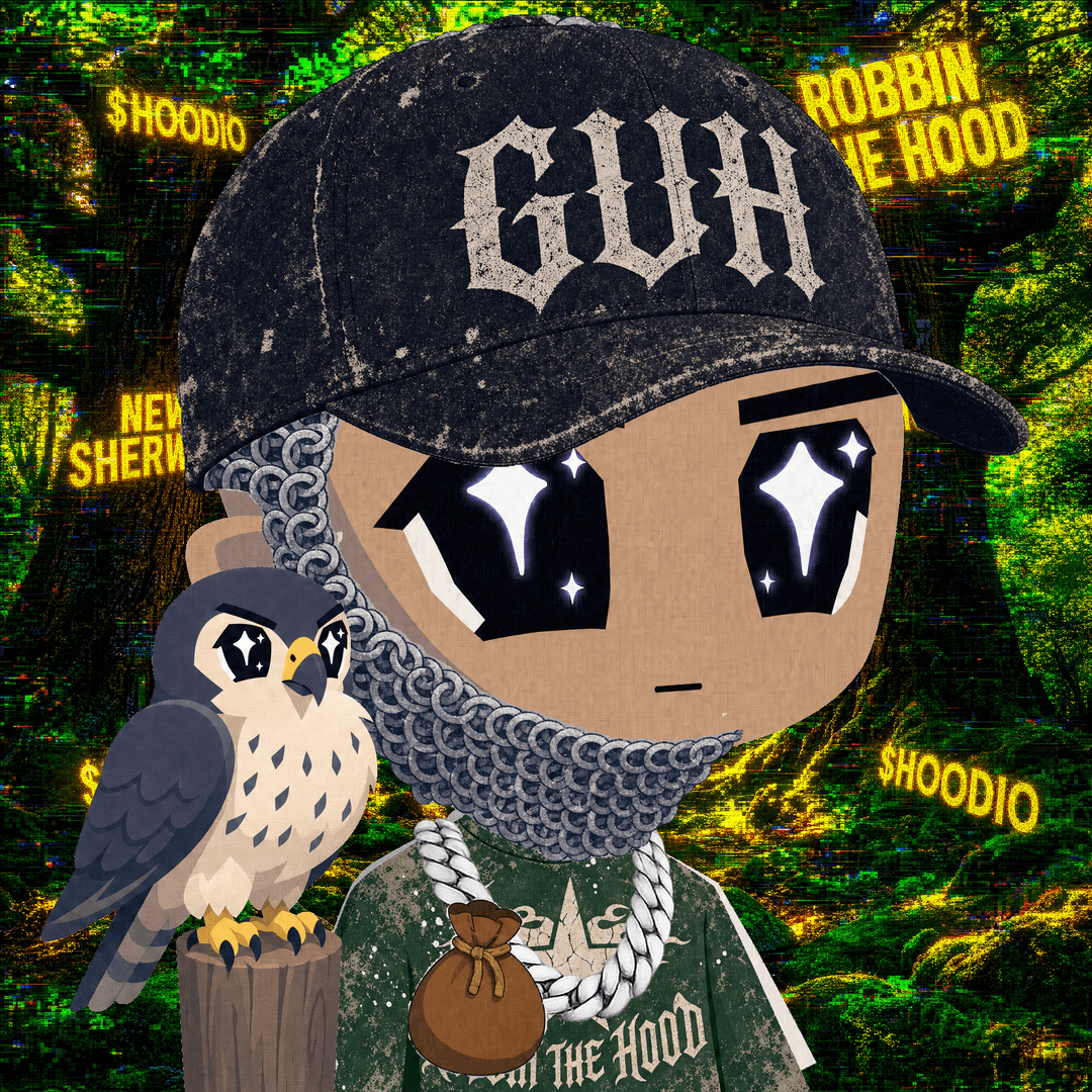 HOODIO #351