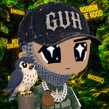HOODIO #351