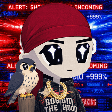 HOODIO #41