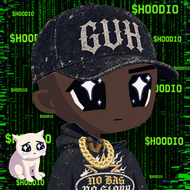 HOODIO #431